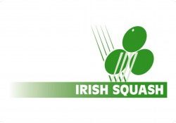 Irish Squash | PLEASE NOTE: DELIVERY ON THIS RANGE IS CURRENTLY 2/3 WEEKS.