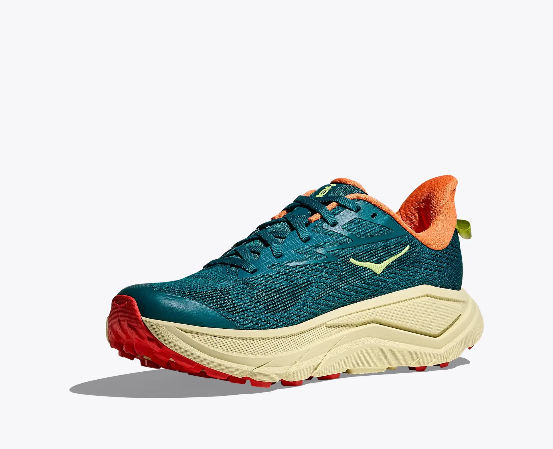 Zoom